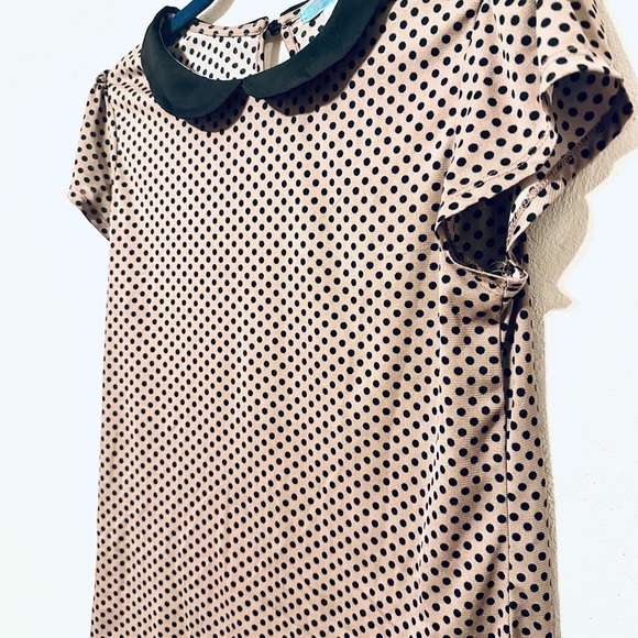 Julie's Closet Black Tan Polka Dot Blouse Peter Pan collar size XL EUC - Picture 2 of 6